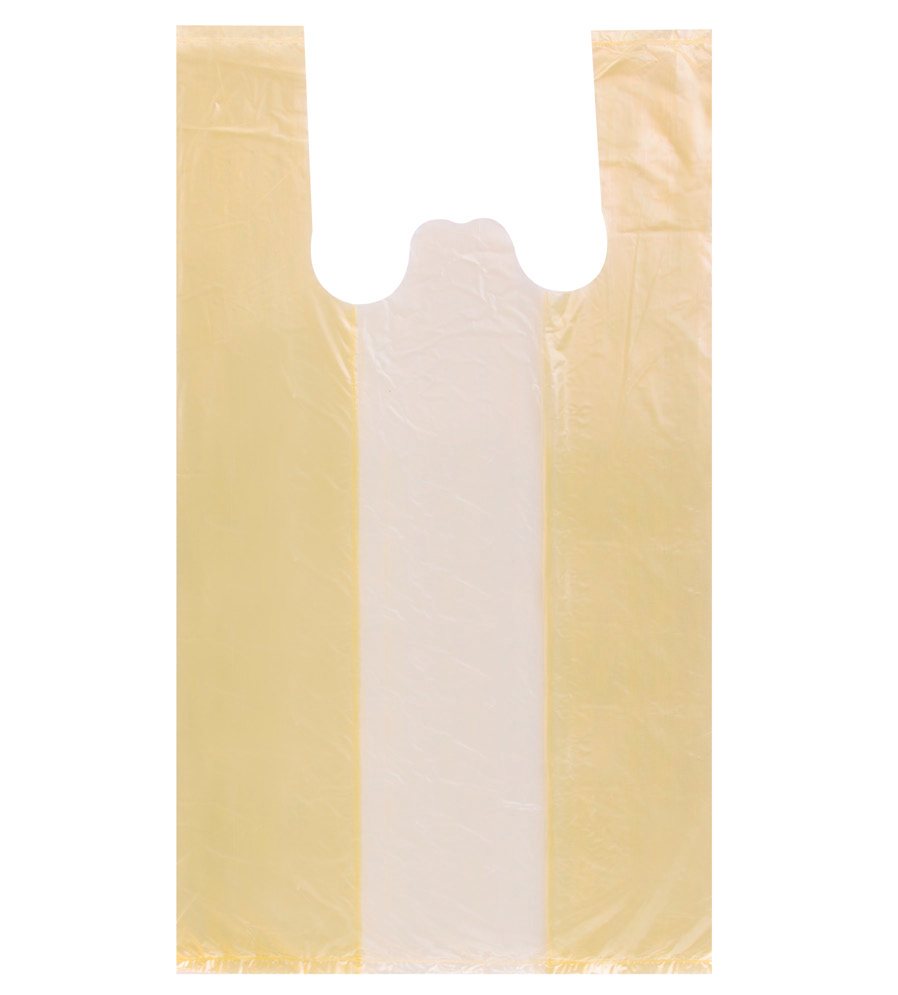 Bag 19.7 in x 9.84 in