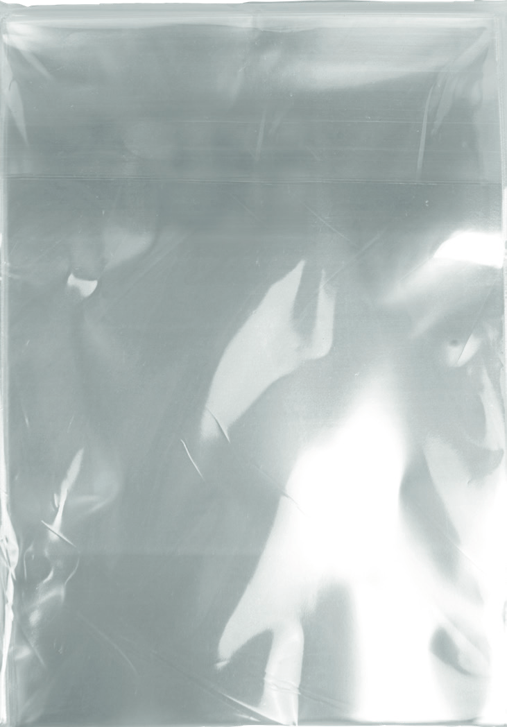 Plain Polypropylene Bag 18x28 1 box / 22.0 lb