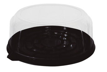 Dome 10.2 in