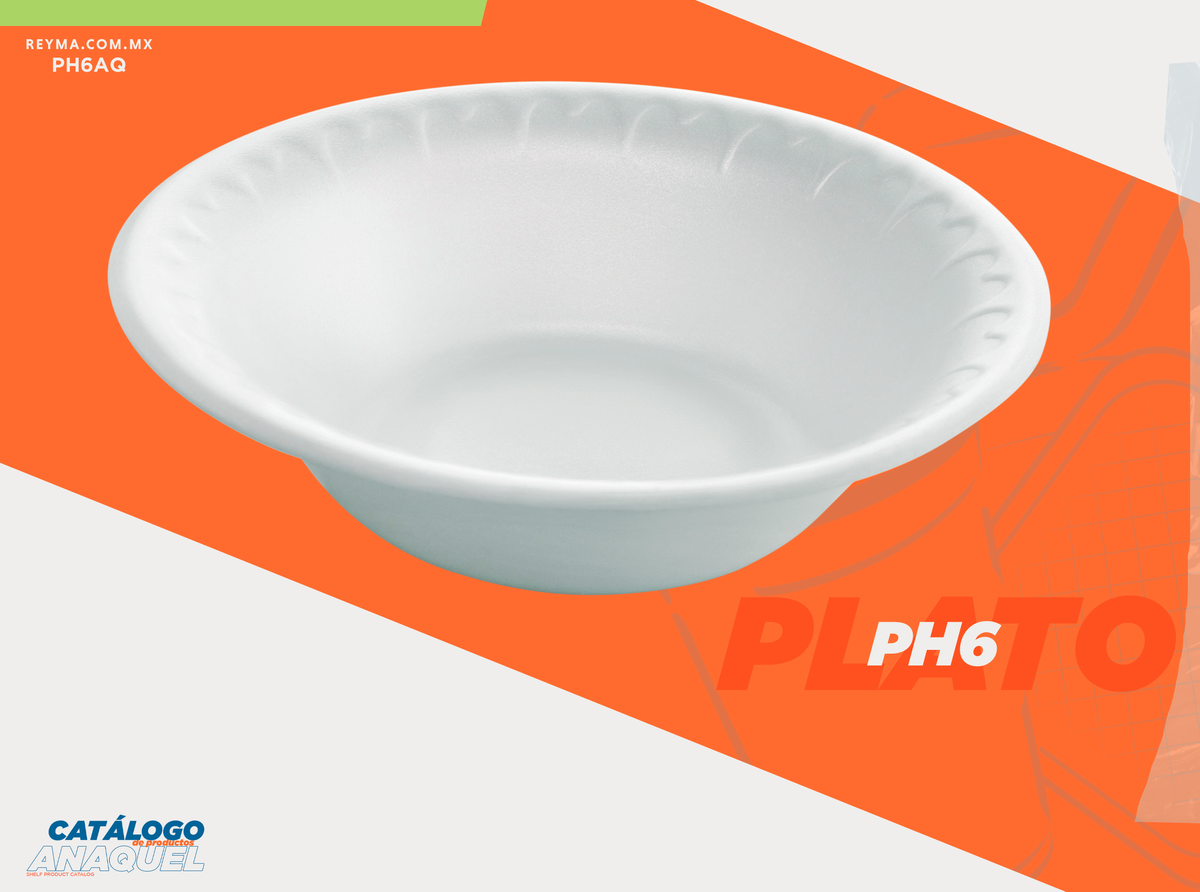 Foam Plate