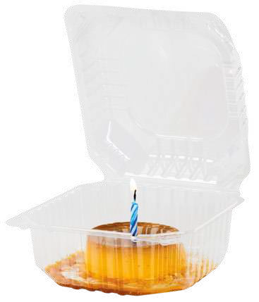 PS Clear Container 9.45 in x 9.65 in