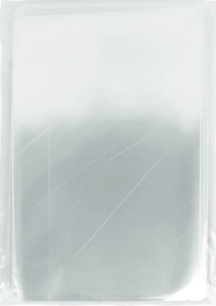 Plain Polypropylene Bag 10x15 1 box / 22.0 lb