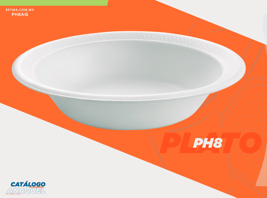Foam Plate