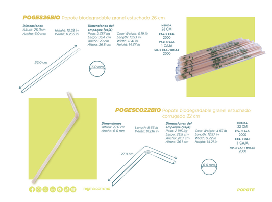 Biodegradable Bulk Boxed Straw