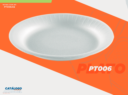 Foam Plate